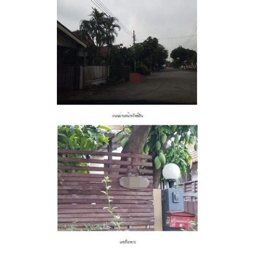 280007pic2
