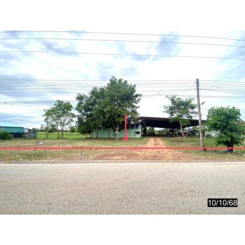 279746pic1