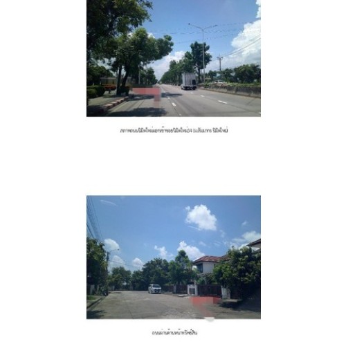 280905pic2