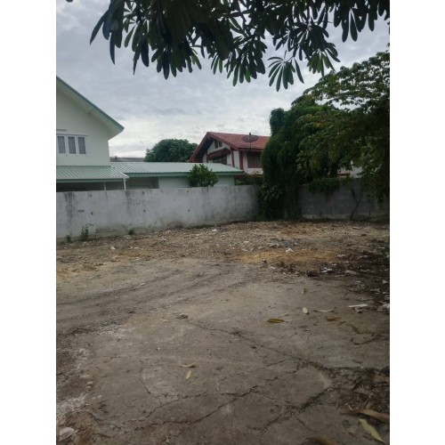 295834pic2