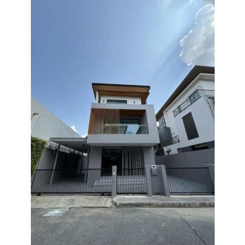 531529pic1