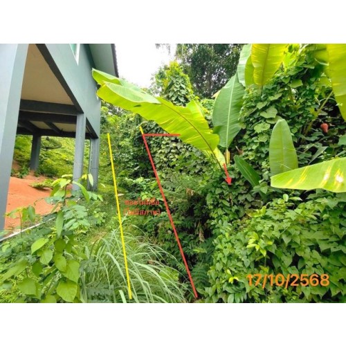 280066pic2
