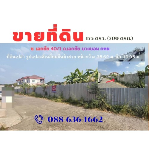 295894pic2