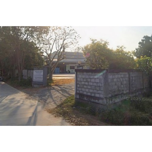 324695pic1