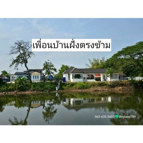 531544pic2