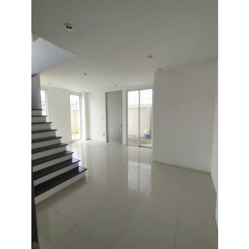 531309pic2
