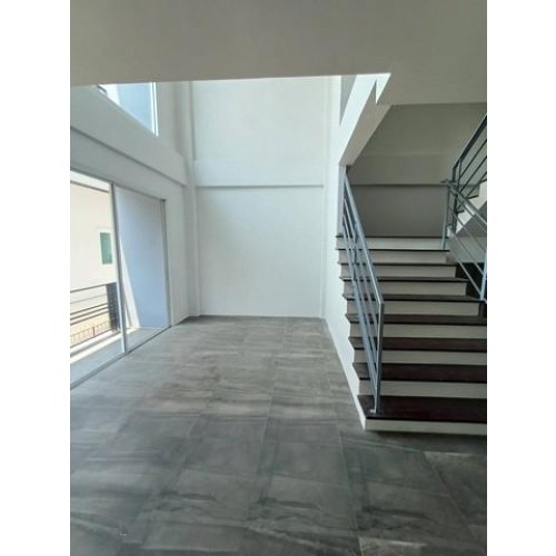 531307pic2