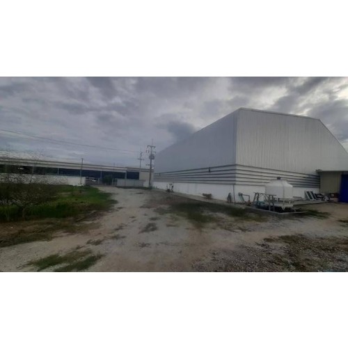 532041pic1
