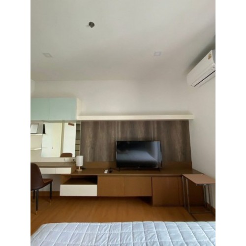 533293pic1