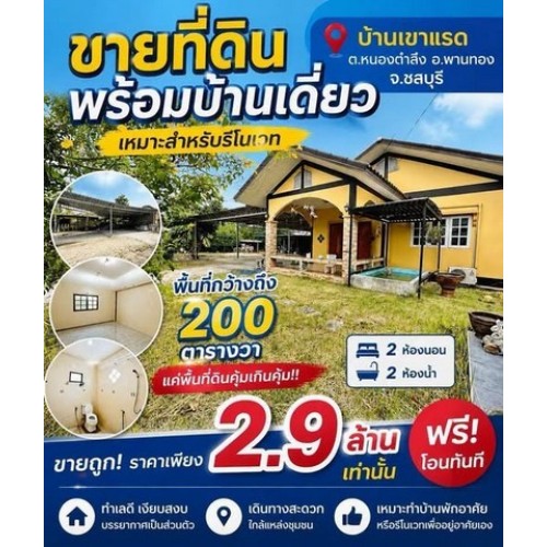 296507pic1