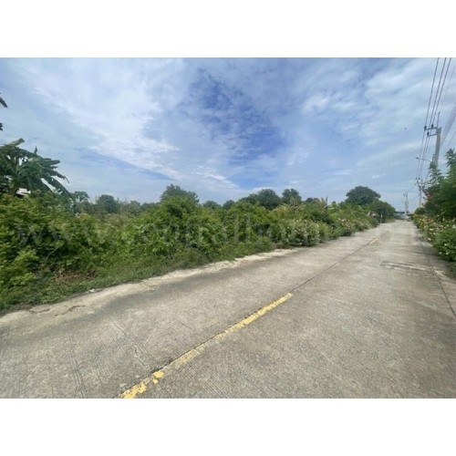 287035pic2