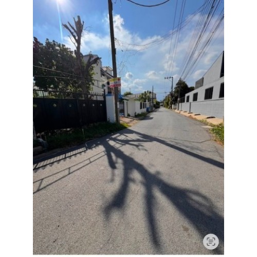 296490pic2