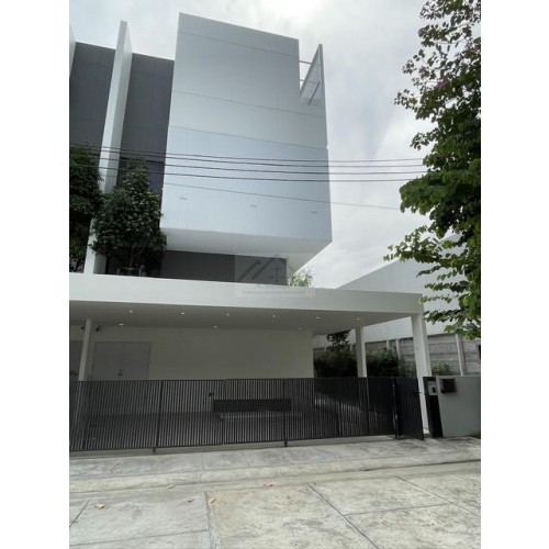 530356pic1