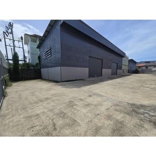 533829pic1