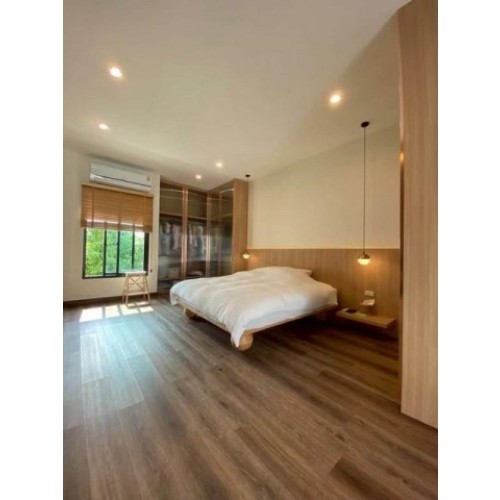 533816pic2