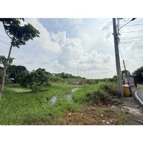 291748pic2
