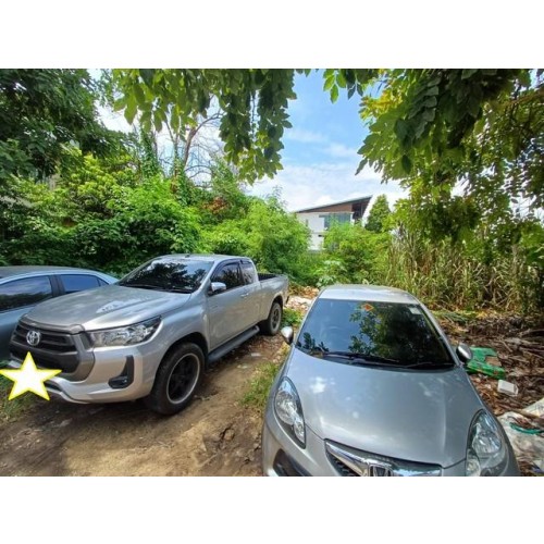 533686pic2