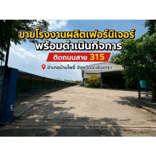 296571pic1