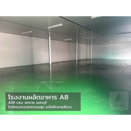 533872pic1