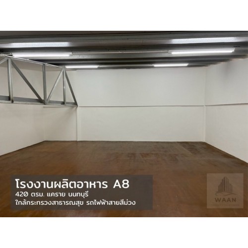 533872pic2