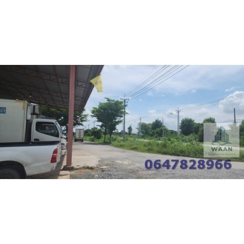 533868pic2