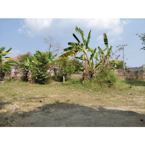 294469pic1