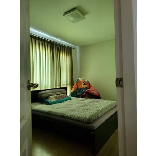 532224pic2