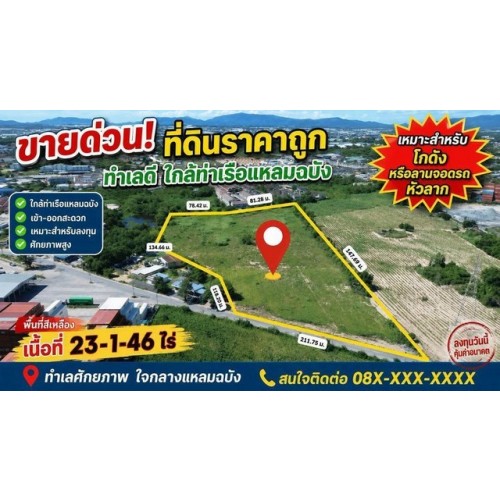 296582pic1