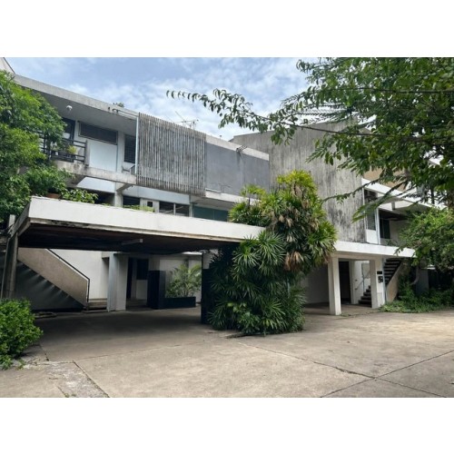 531698pic1