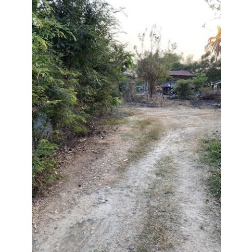 7372pic1