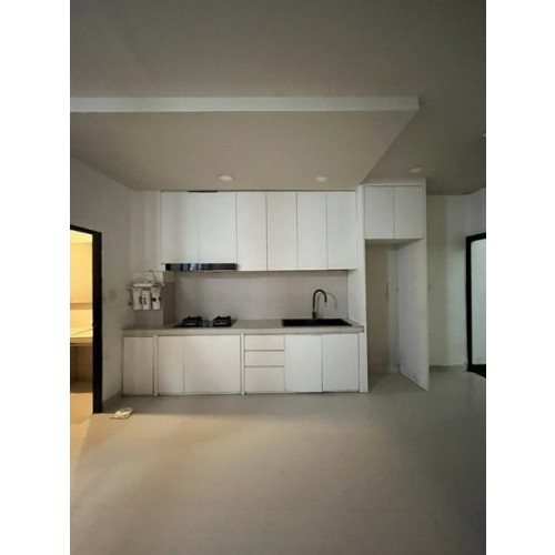533916pic2