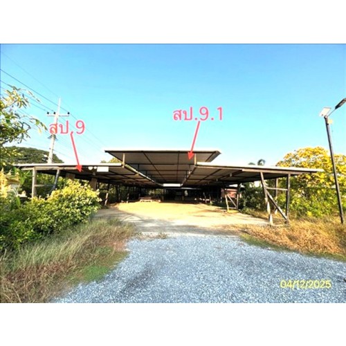 286905pic2