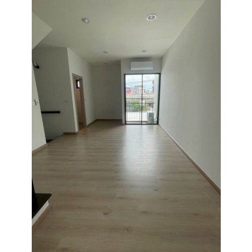 534063pic2