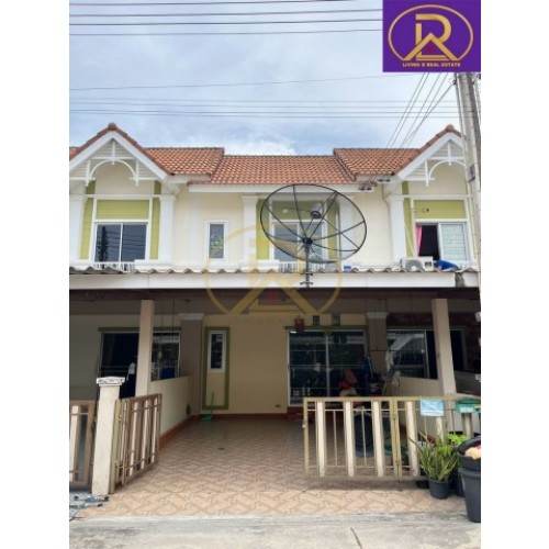 534066pic1