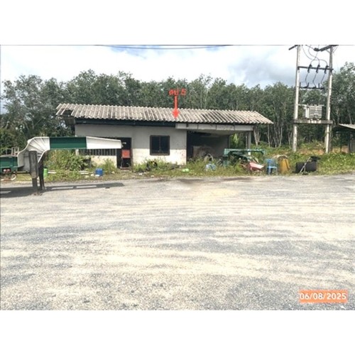 286912pic1