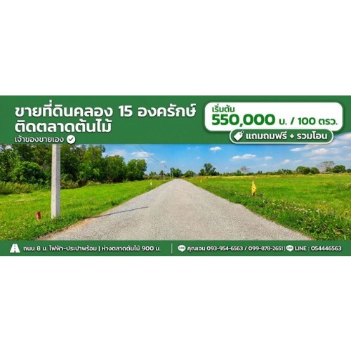 533220pic1