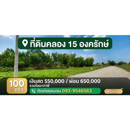 533219pic1