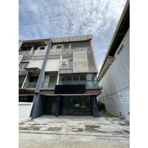 532469pic1