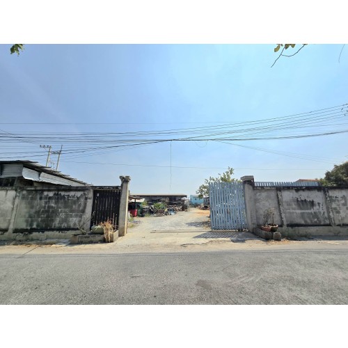 313289pic1