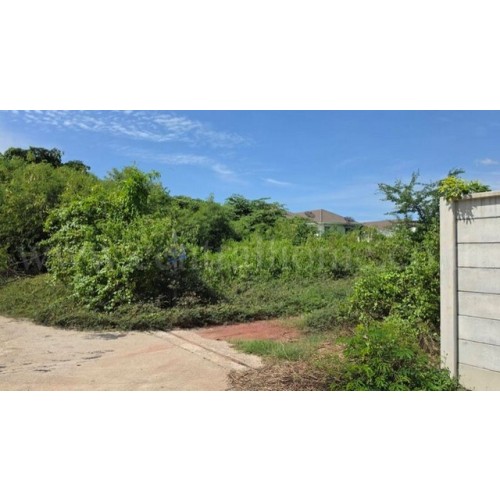 288754pic1