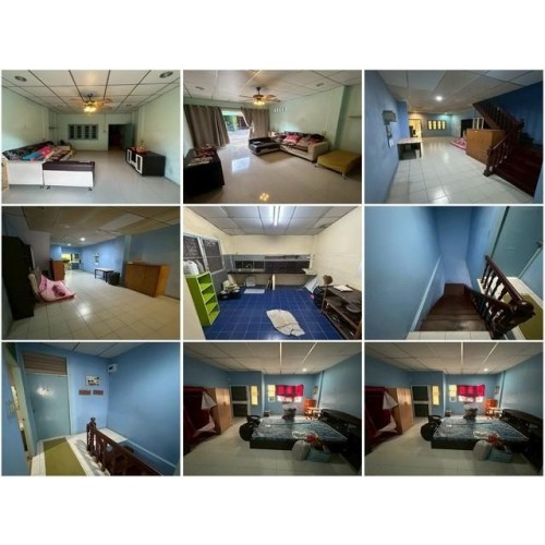 534129pic2
