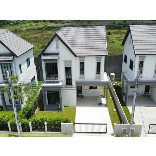 532513pic1