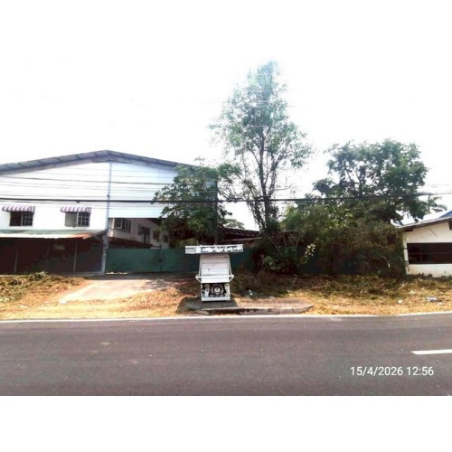 288036pic2