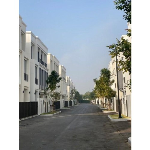 532598pic2