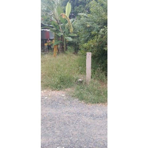 7372pic1