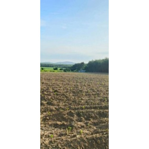 326807pic2