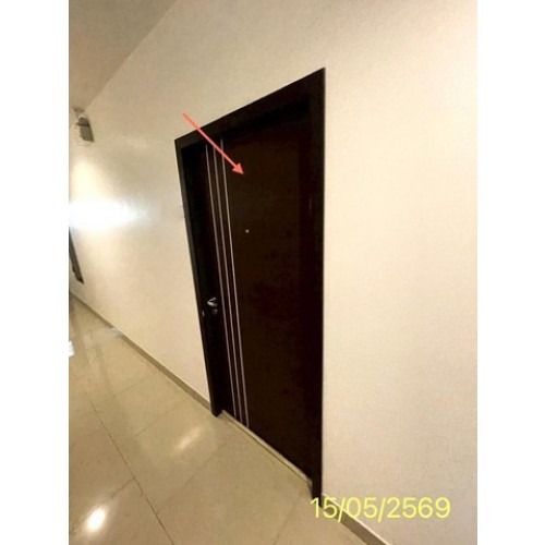 288101pic1