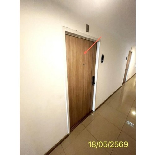 288098pic2