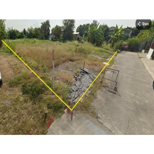 534353pic2
