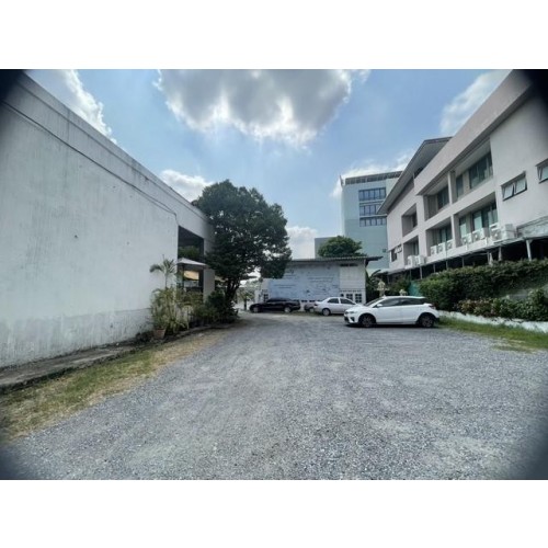 532726pic2